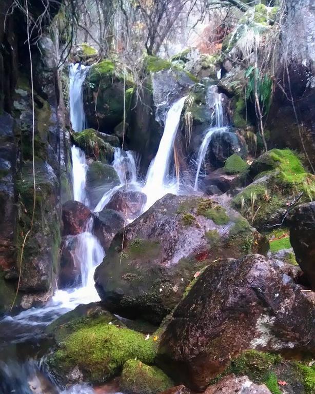 Sebastiao Da Barca House Otel Pincaes Dış mekan fotoğraf